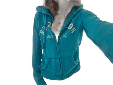 Hollister zip