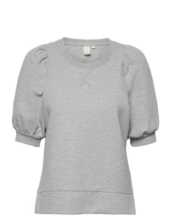 Jeapw Sw Grey Part Two