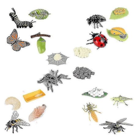 Livscyklus Figurer Af Sommerfugl Edderkop Bi Mariehøne Guldsmed, Plastik Insekt Bug Figurer Legetøj, Sch