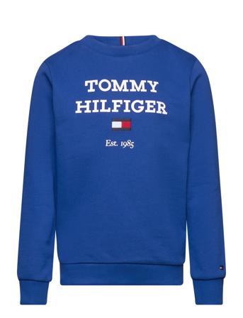 Th Logo Sweatshirt Sweat-shirt Genser Blå Tommy Hilfiger*Betinget Tilbud