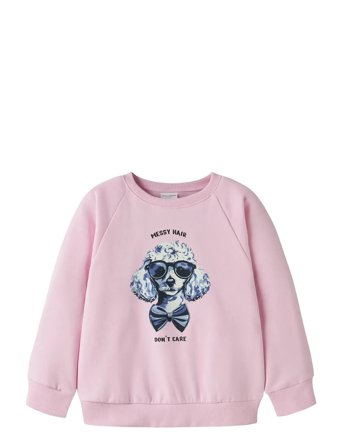 Nmfvenus Ls Nreg Sweat Bru Tops Sweatshirts & Hoodies Sweatshirts Pink Name It