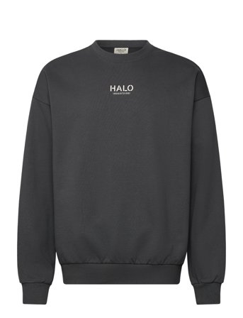 HALO Halo Graphic Boxy Crew - Grey - XS