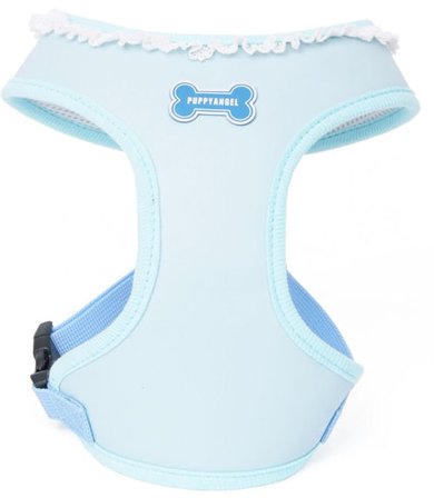 Puppy Angel - Midnight Party Sele + Koppel