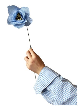 Studio About | Paper Flower, Poppy, Light Blue | 13X43CM