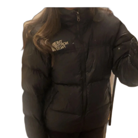 the north face puffer jacket