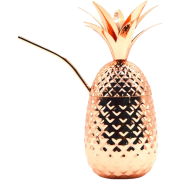 Mugg Ananas M. Sugrör 455ml*