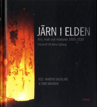 Järn i elden : kön, makt och relationer 1600-2020 - Bok - Kartonnage