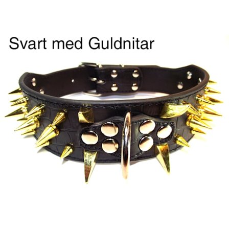 Hund halsband 2" svart med guldnitar 59-67cm