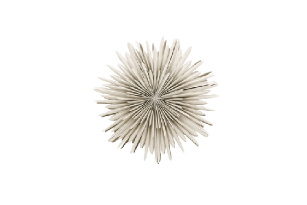 Venture Home Sälen Adventsstjärna Julbelysning Unisex Beige 46 cm