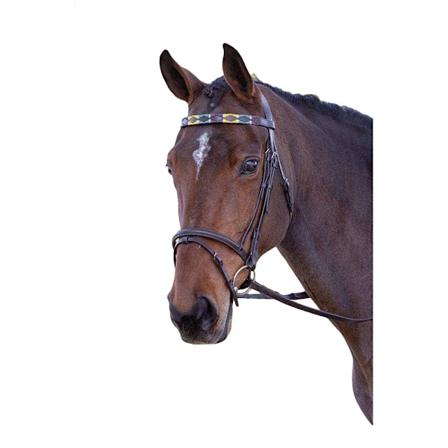 Blenheim Läder Polo Häst Pannband Full Lila/Mörkgrön/Gul Purple/Dark Green/Yellow Full