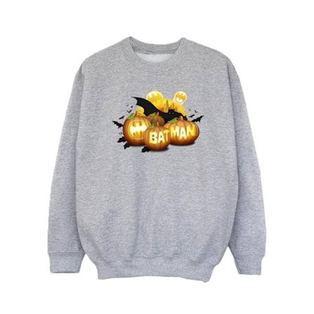 DC Comics Girls Batman Pumpkins Sweatshirt 7-8 år Sports Grey