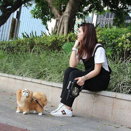 Tilbagetrækkelig Hundeline 8m 50kg med LED til Store Hunde