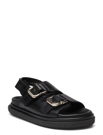 Harper Black ALOHAS