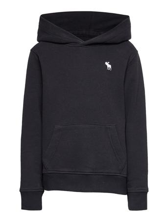 Kids Boys Sweatshirts Black Abercrombie & Fitch