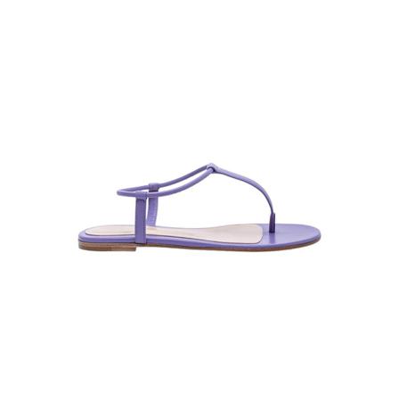 Gianvito Rossi, Flat Thong Sandals With Elastic Strap Fioletowy, Kobieta, Rozmiar: 40 1/2 EU