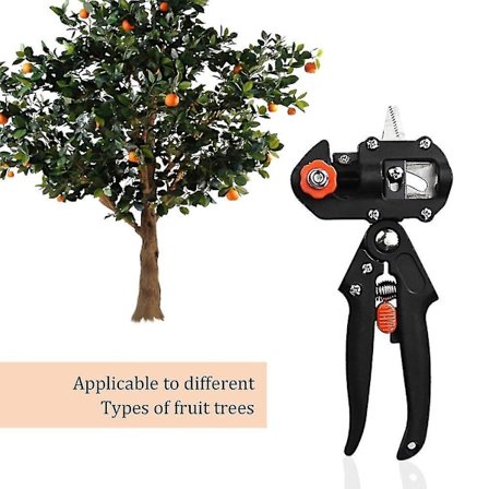 Profesjonell Hage Tre Beskjæring Poding Saks