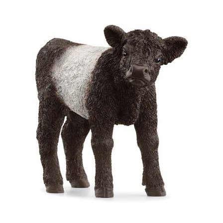 schleich FARM WORLD Gallowayko Kalv 13969