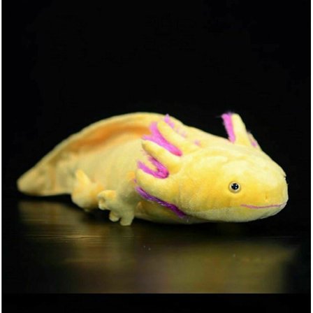 Axolotl plysjleketøy Ambystoma Mexicanum dinosaurdyr dukke gave (FMY)