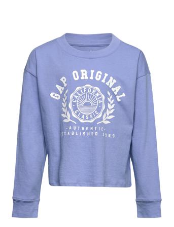 V-Fa Better Arch Tee Purple GAP