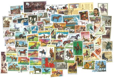 Heste - 100 forskellige