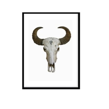 Poster Buffalo Horn Färg A4