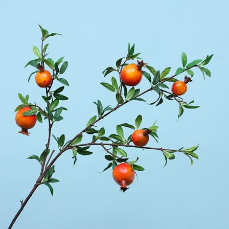 Lan Guifang Kunstig Granatæble Falsk Blomst Bær Hjem Hotel Blød Dekoration Nytår Festival Prydplante Simulering Frugtgren Generelt Six Fruit Smooth 