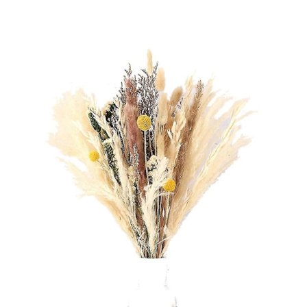 35 stk. Naturlig Tørket Pampasgress, Høyt Pampasgress Tørkede Blomster Plantebukett Grener Dekor For