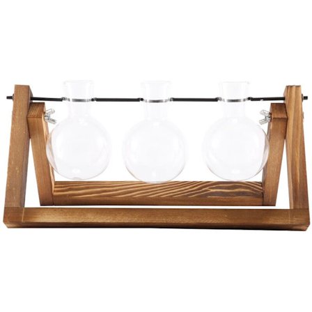 Desktop Glas Planter Pære Vase Luftplante Terrarium med Træholder til Hydroponiske Planter Stiklinger Kontor Dekoration