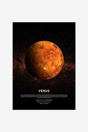 Malerifabrikken - Poster Venus - Svart - Postere - Fra Homeroom
