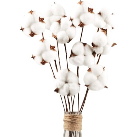 10 stk. Naturlige tørrede bomuldsblomster Tørrede blomster Stilk Bomuld N