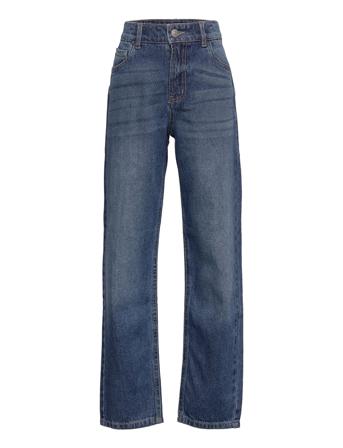 Nlmnizzan Dnm Dad Pant Blue LMTD
