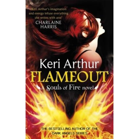 Flameout (häftad, eng)