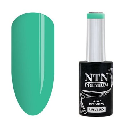 NTN Premium - Gel polish - Celebration - Nr163 - 5g UV gel/LED