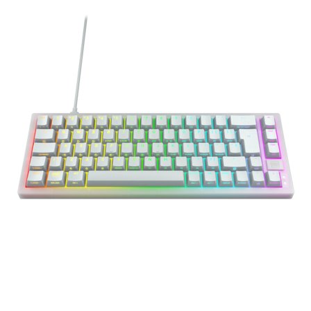 Cherry XTRFY K5V2 65% keyboard white Pa
