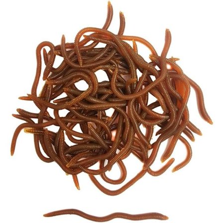 1.6in/3.3/3.9in Fiske Blød Lokkemad Ørred Orm Maske Regnorm Lokkemad Livagtig Falsk Blodorm Larve Maske Bløde Fiskelokkemad