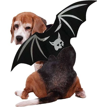 Halloween-kostymer for katter | Søt og unik Halloween-kostyme for katt, kattunge, valp, liten hund - Dyrekles for små hunder og katter (passer til 