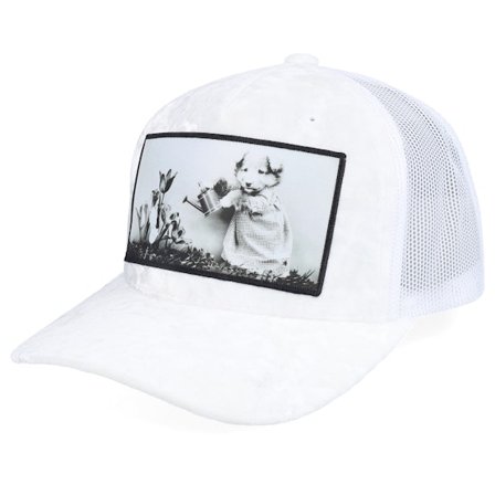 Calza Pennello - Hvid trucker Kasket - Dog Watering Plant Velvet White/White A-frame @ Hatstore