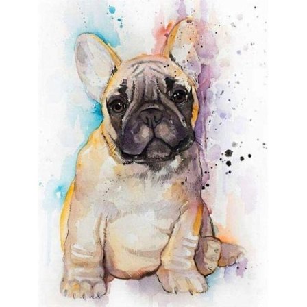 Måla Efter Nummer Hundar Med Ram 40x50 Bild