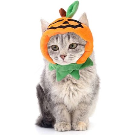Halloween dekoration, Halloween kattekostume, kat græskar hat Cosplay kostume hat til k