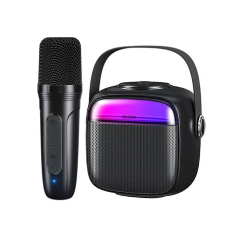 WK D43 Mini Karaoke Bluetooth-högtalare (svart)