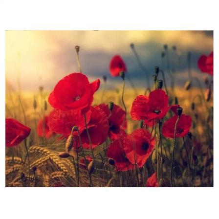 Full 5d Diy Diamond Painting Cross Stitch Flower Bird Broderi Mo Som På Bilden 1 40x50cm