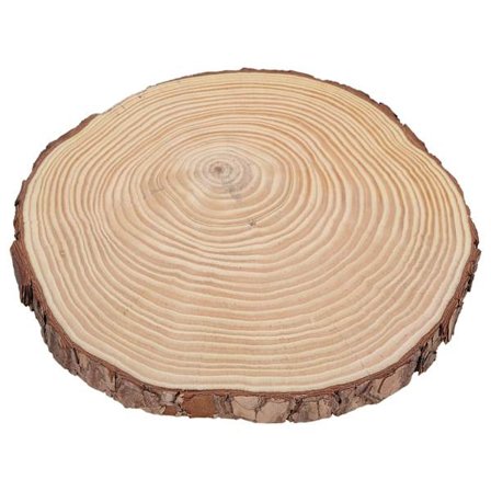Naturliga träskivor Obehandlade träcirklar Ornament Oregelbundna träskivor med bark 22,5x23cm 8,9x9,1tum