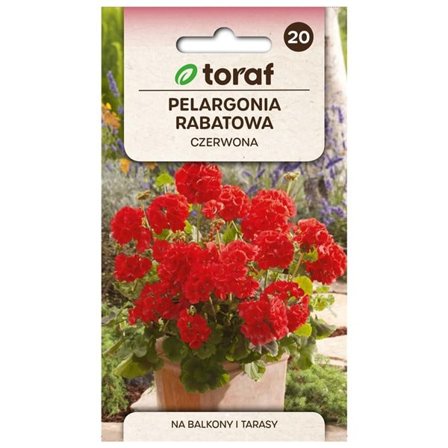 Frö till zonalpelargon röd – Färgstark blomning för balkonger och rabatter