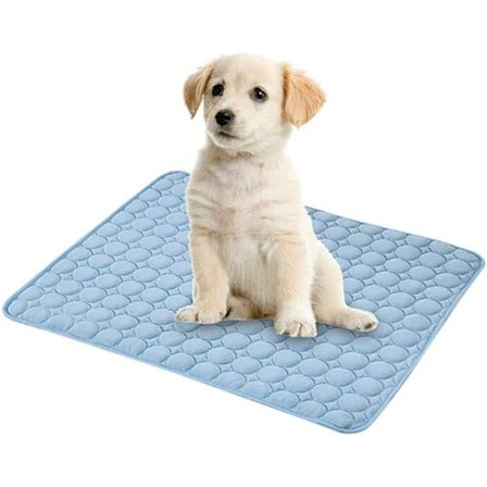 Kølemadras til Hunde, Ikke-giftig, Sommer, Soveplads til Små Hunde, Kæledyr, Katte, Hvalpe (62*50cm)