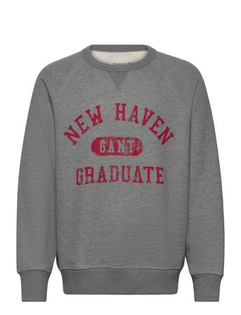 Graphic C-Neck Sweat Tops Sweat-shirts & Hoodies Sweat-shirts Grey GANT