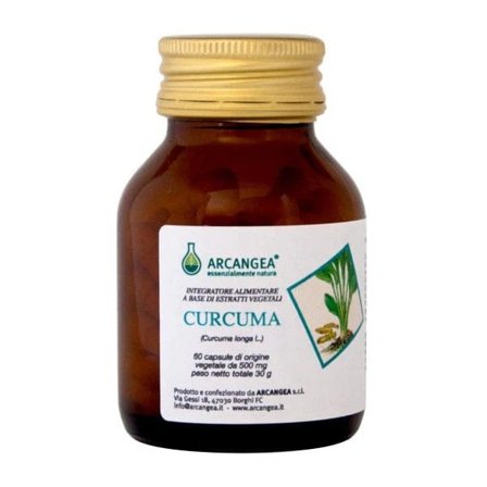 CURCUMA 60CPS 500MG