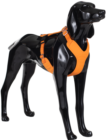 PAIKKA Visibility Harness S Orange