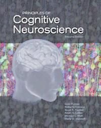 Principles of Cognitive Neuroscience