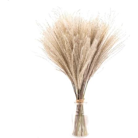 30 stk/pakke 40cm kunstig tørket pampasgress boho stil hjemmedekor