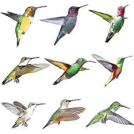 9 kpl Kolibri-ikkunatarroja, törmäyksenesto-ikkunatarrat, kaksipuoliset staattiset kolibri-tarrat estämään lintujen törmäykset ikkunalasiin